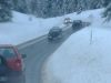 dino_dscf0190.jpg